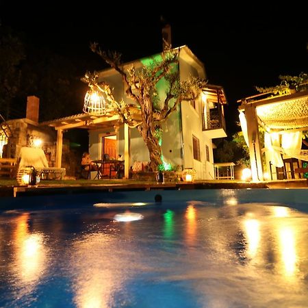 Fakistra'S Blue House Villa Tsagkarada Buitenkant foto